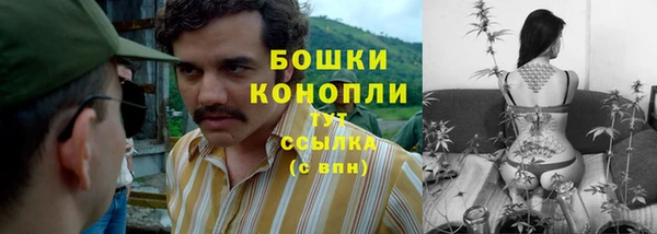 jwh Богородск