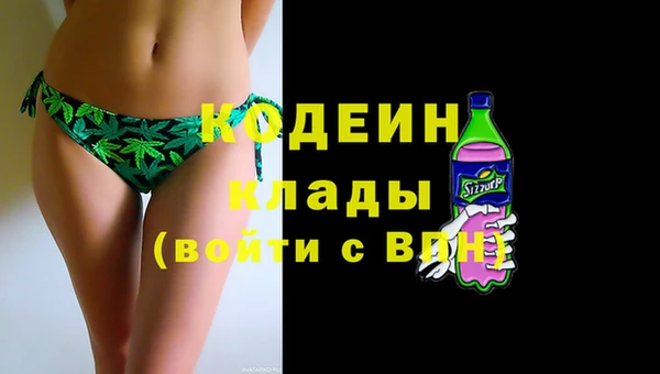 хмурый Богородицк
