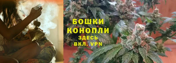 хмурый Богородицк