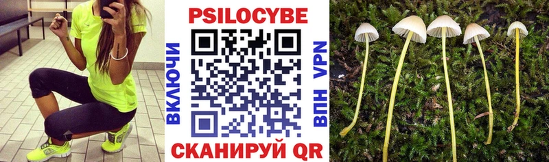 мориарти телеграм закладки Симферополь Галлюциногенные грибы Psilocybe